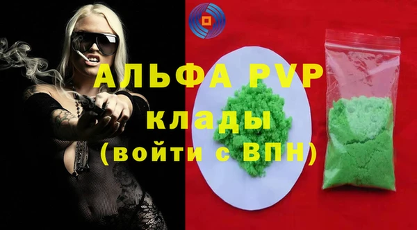 стафф Алексин