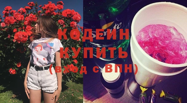 PSILOCYBIN Алзамай