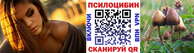 Псилоцибиновые грибы мицелий  OMG как зайти  Сухиничи 